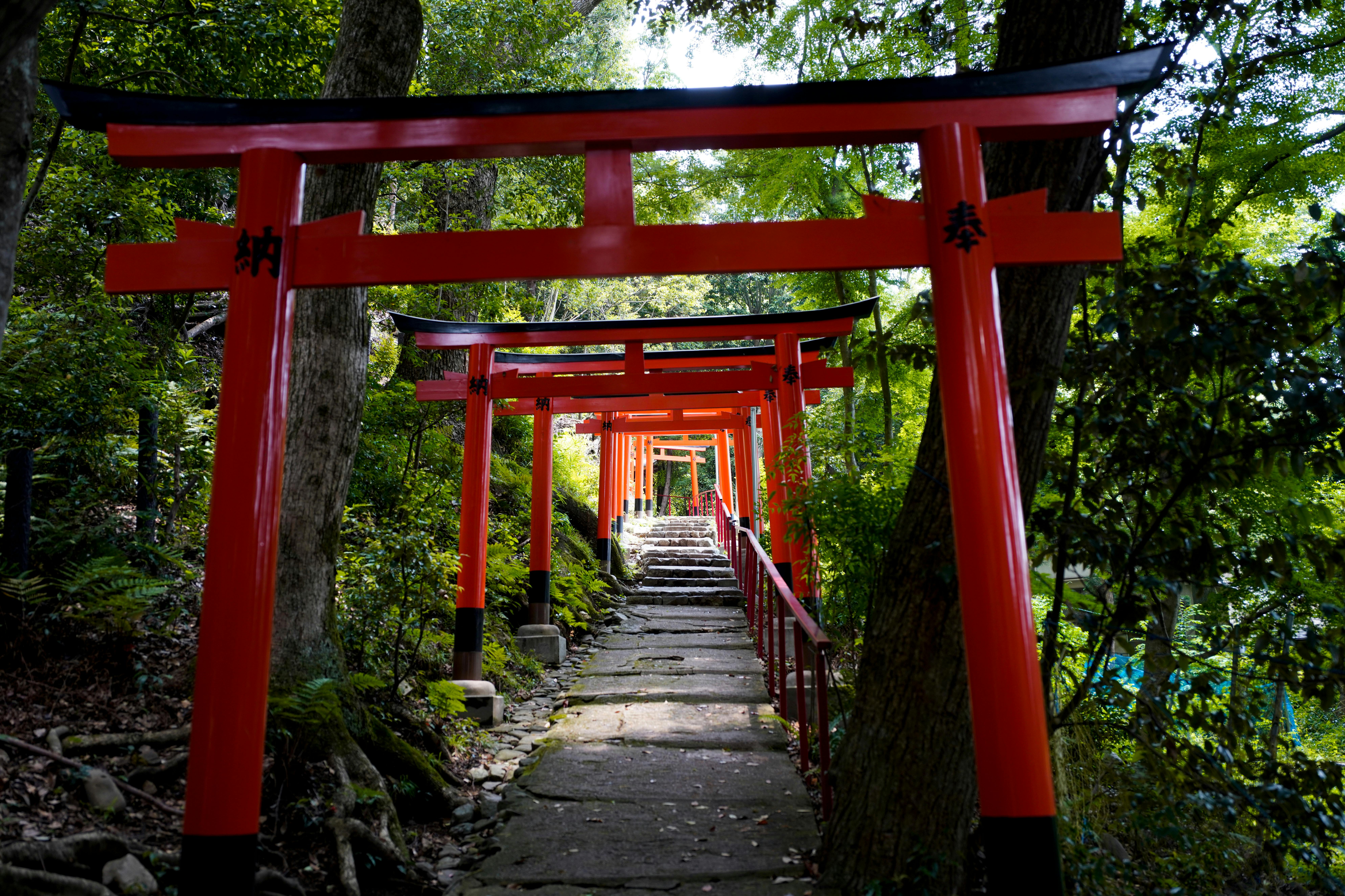 A stone path with steps leads through a series of bright red Torii gates in a lush, green forest, creating a tunnel-like effect. Sunlight filters through the trees.