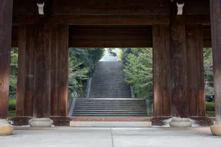 A view through a large wooden gate frames a wide stone staircase surrounded by lush green trees, leading upward and out of sight.