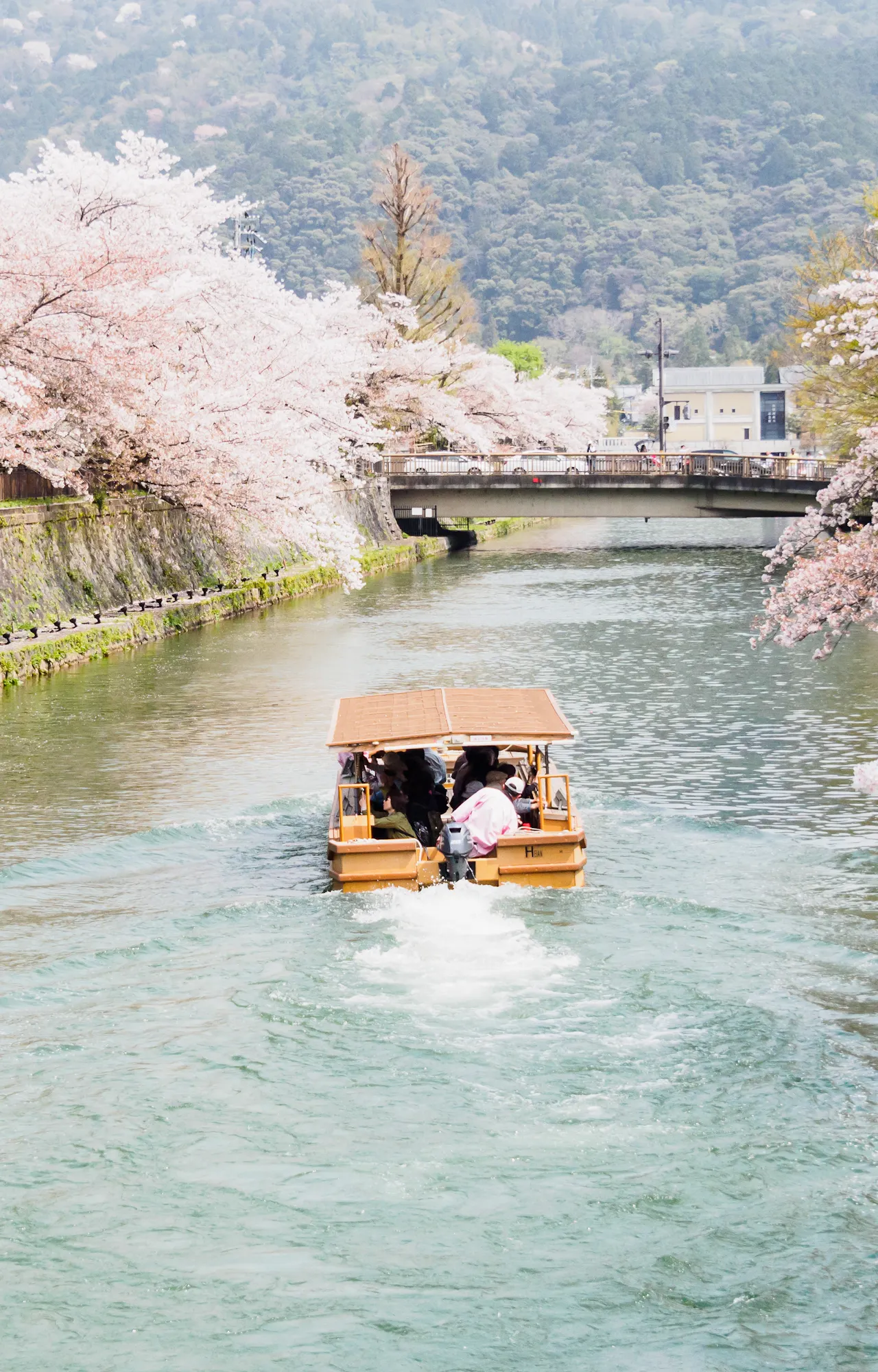 Kabo Riped Kamo River in Kyoto: Highlights, Access & Tips - Trip To Japan