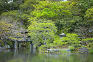 A lush Japanese garden with dense green foliage, a pond in the foreground, a stone lantern, rocks, and a wooden bridge partially hidden among the trees. The scene is serene and tranquil.