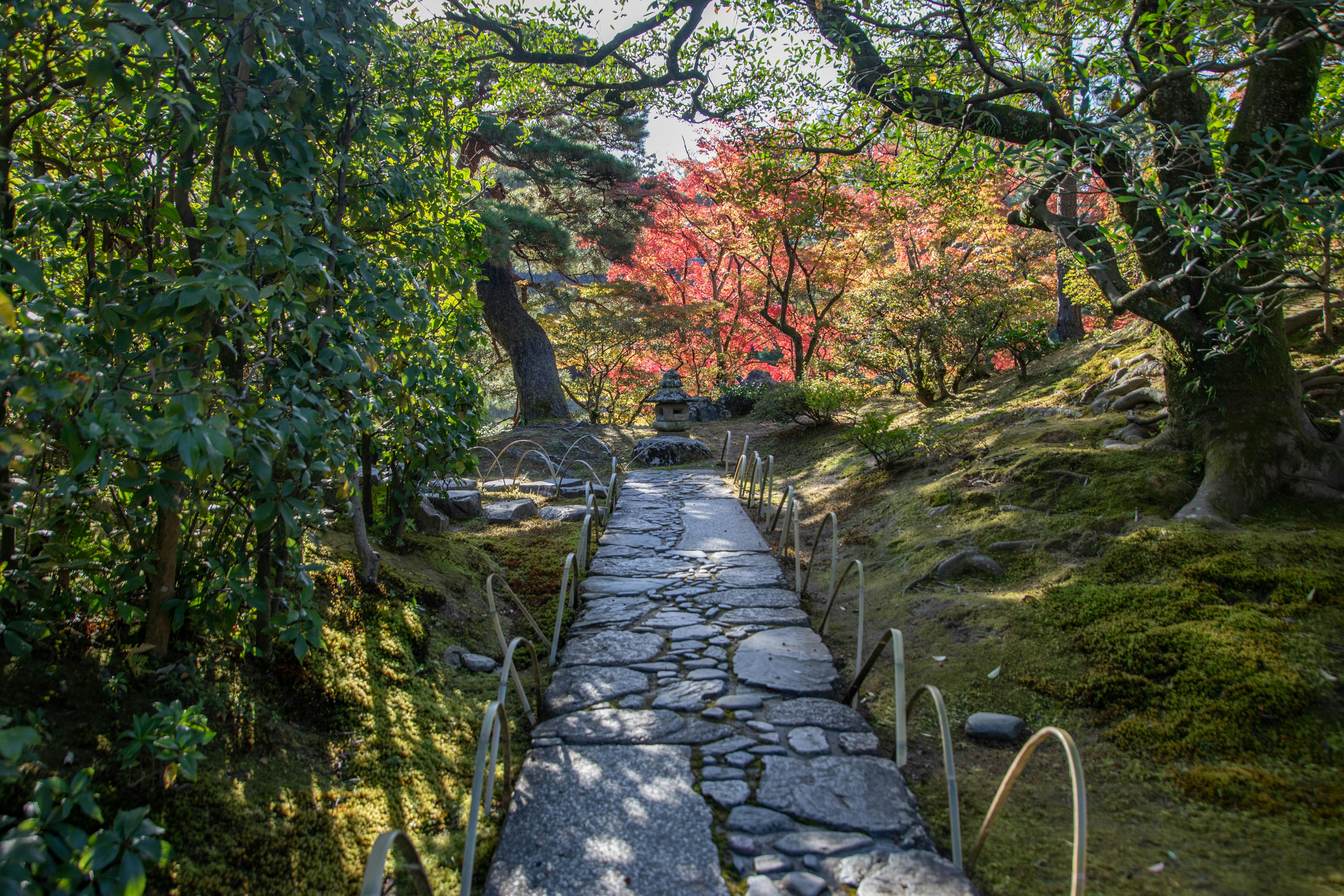 桂離宮 桂離宮 - Trip To Japan