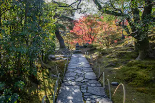 A stone path winds through a lush Japanese garden, surrounded by green foliage and trees with autumn-colored leaves, illuminated by sunlight filtering through the branches.