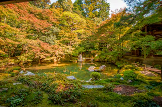 A tranquil Japanese garden with a clear pond surrounded by lush trees, rocks, and moss, bathed in warm sunlight. Dense greenery and wooden structures are visible in the background.