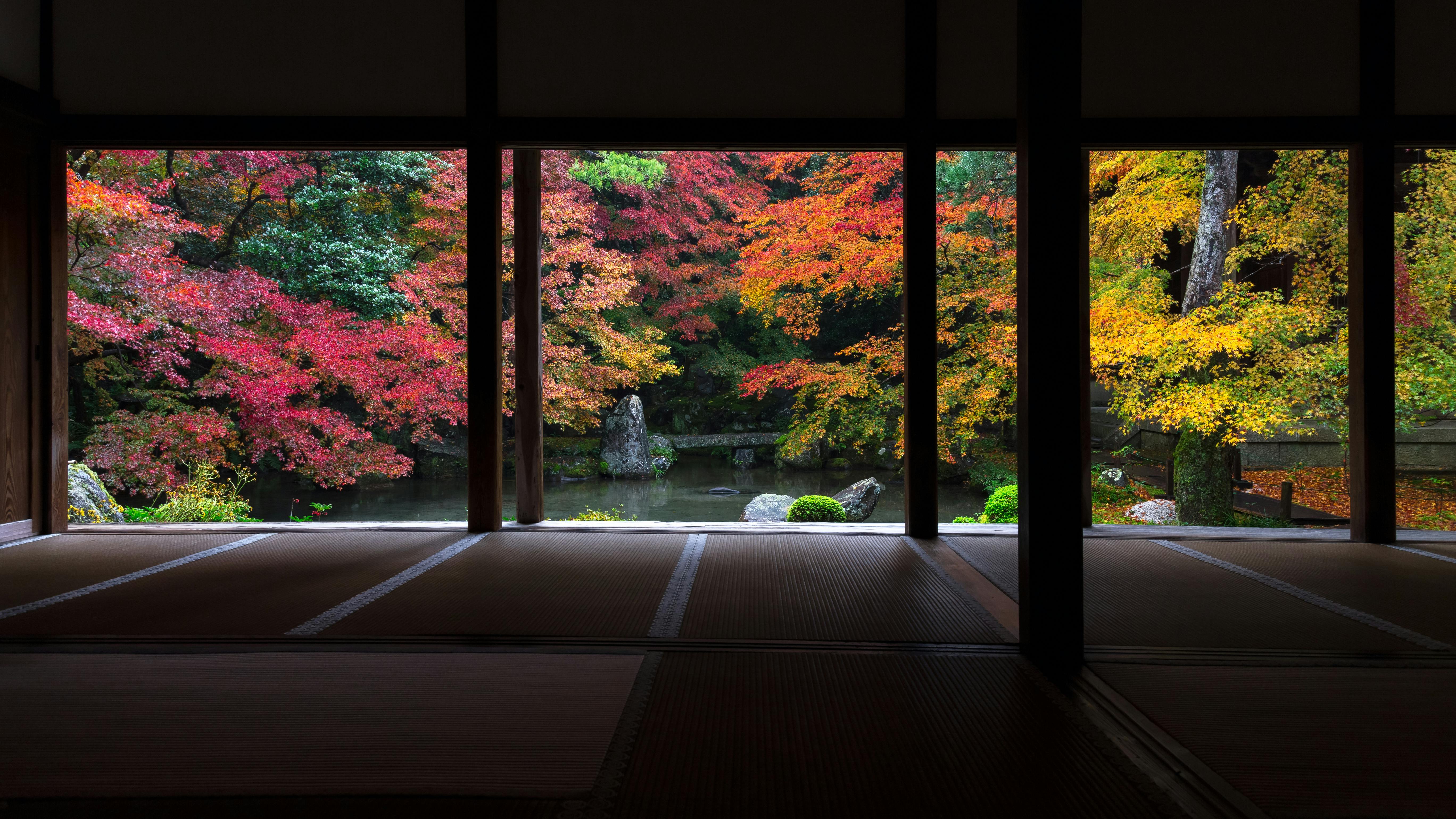 Large open windows frame vibrant autumn trees in red, orange, and yellow outside a traditional Japanese tatami room, with a tranquil pond and rocks visible in the garden.