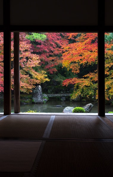 Renge-ji Temple - Trip To Japan