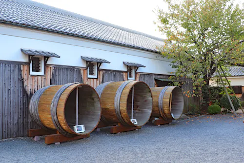 Three large wooden barrels are displayed upright outside a traditional Japanese building with wooden walls and a tiled roof, next to a tree and gravel ground.