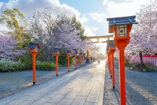 A stone pathway lined with red lanterns leads through blooming cherry blossom trees toward a traditional Japanese torii gate, with sunlight streaming through and a blue sky overhead.