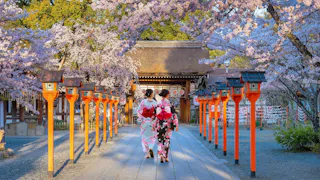 Two women in colorful kimonos walk down a path lined with red lanterns and blooming cherry blossom trees toward a traditional Japanese shrine.