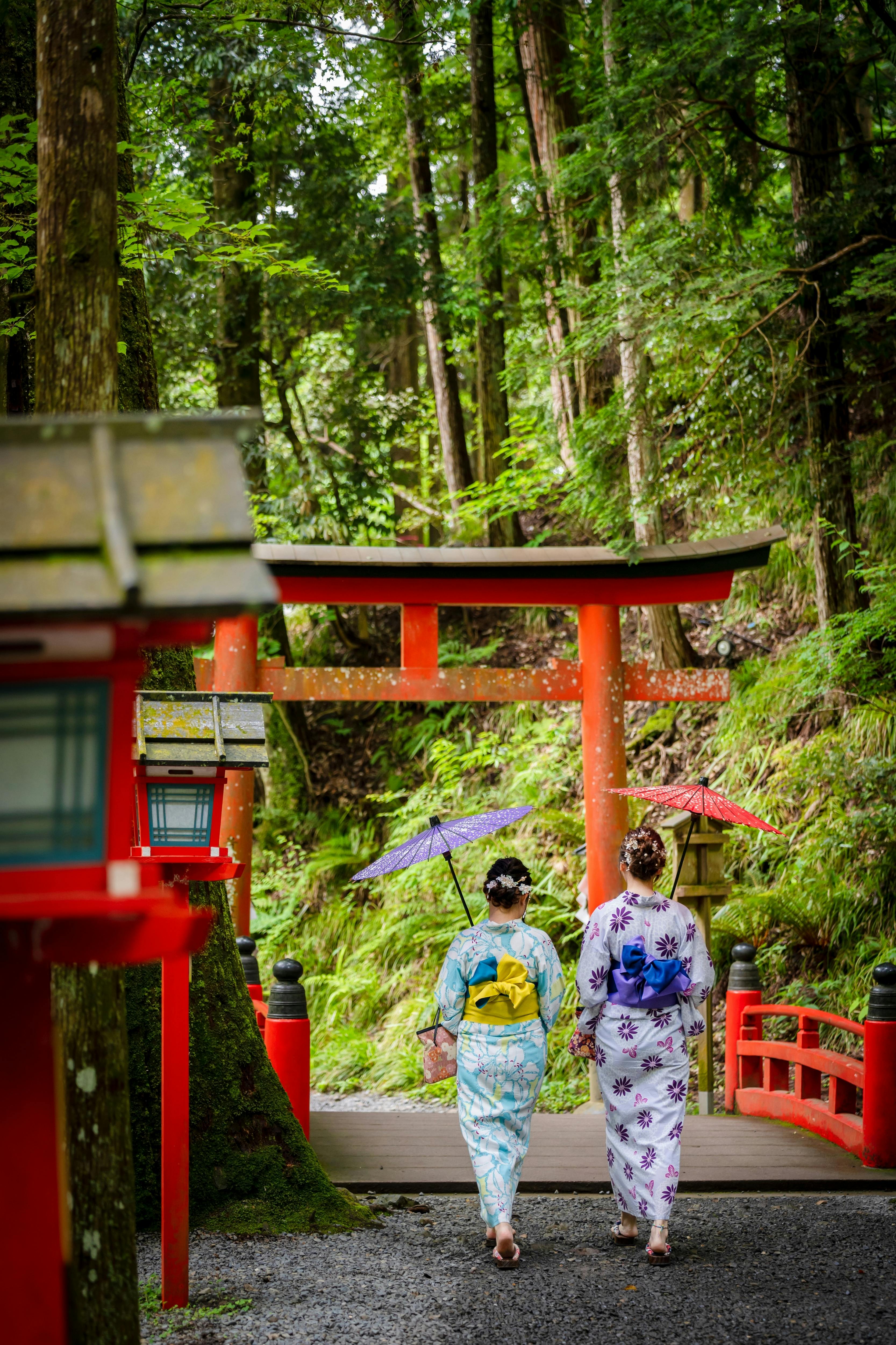 Two people wearing traditional kimonos walk under a red torii gate in a lush green forest. One holds a purple umbrella. Red lanterns and a small bridge are visible along the path ahead.