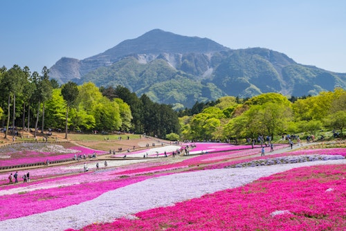 Hitsujiyama Park