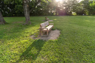 A wooden bench sits on a patch of dirt in a grassy park, with sunlight streaming through trees in the background. Another bench is visible farther away under the shade of the trees.