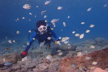 Yakushima Introductory Diving