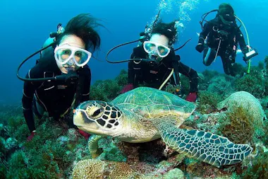 Yakushima Introductory Diving
