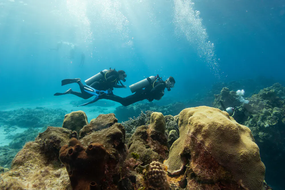 Diving