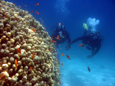 Diving