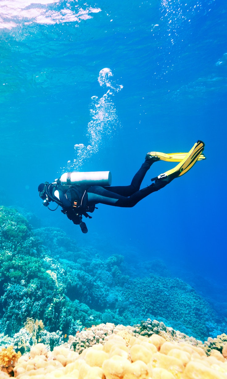 Beginner Diving Course: 1 Basic Dive at Yakushima Island - Trip To Japan