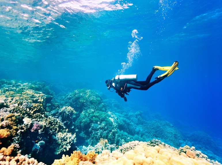 Beginner Diving Course: 1 Basic Dive at Yakushima Island