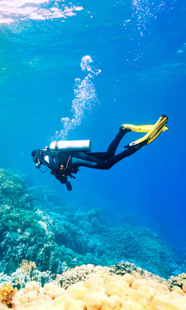 Diving Diving