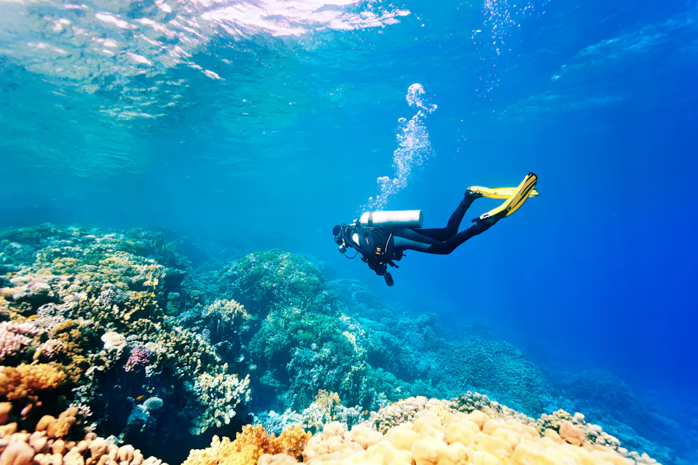 Diving