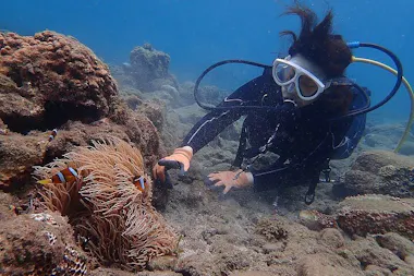 Yakushima Introductory Diving