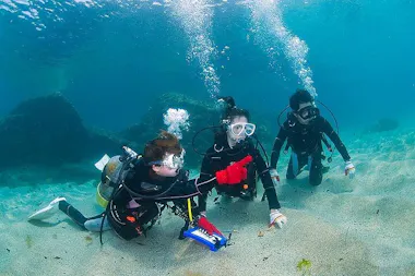 Yakushima Introductory Diving