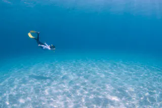 Yakushima Snorkeling