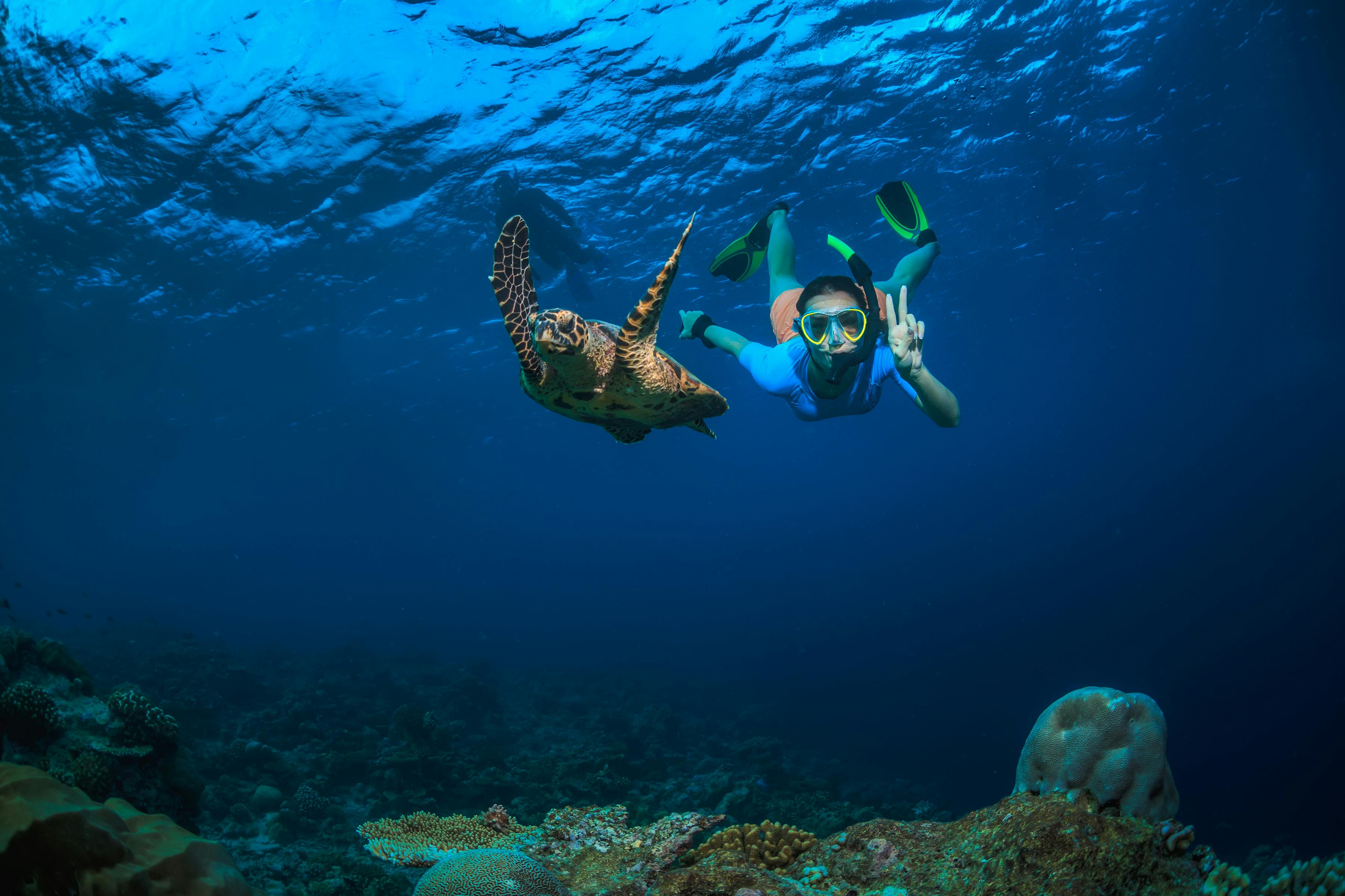 Snorkeling with Sea Turtle