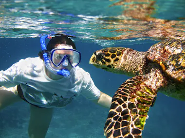Snorkeling with Sea Turtle