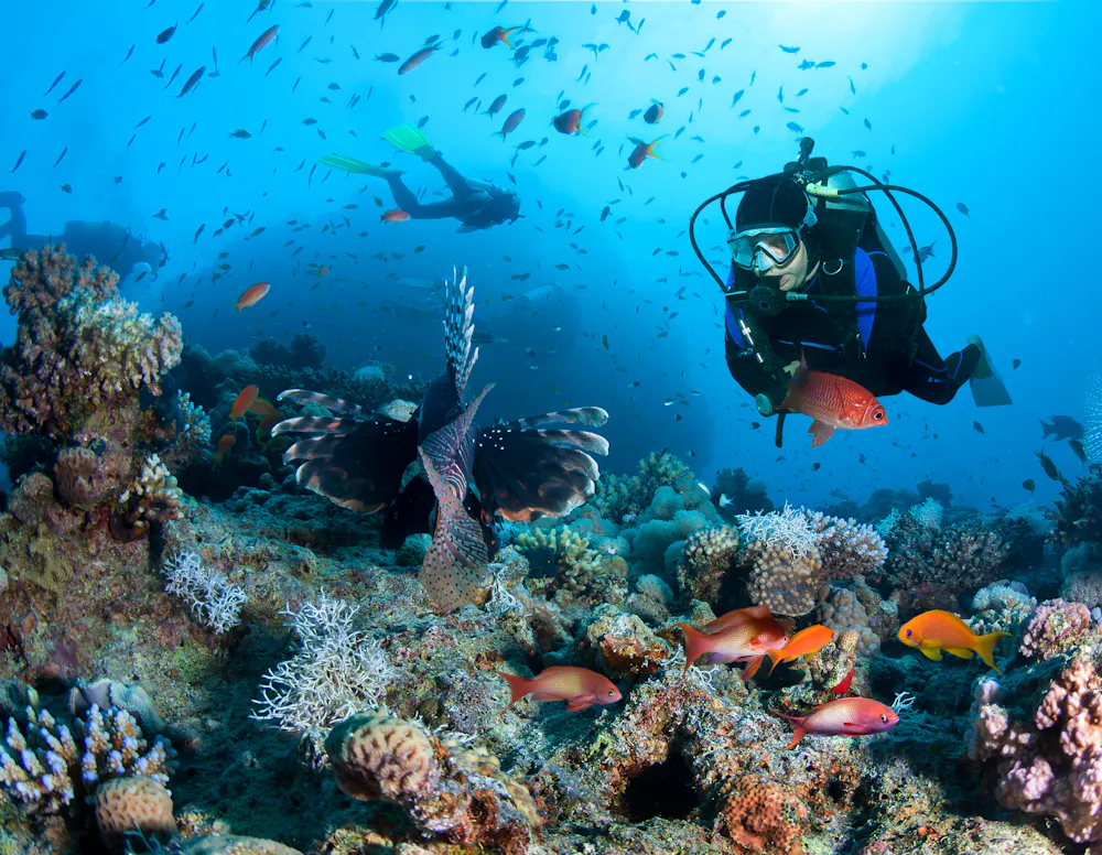 Diving