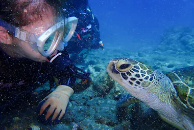 Yakushima Diving