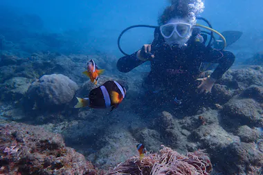 Yakushima Diving