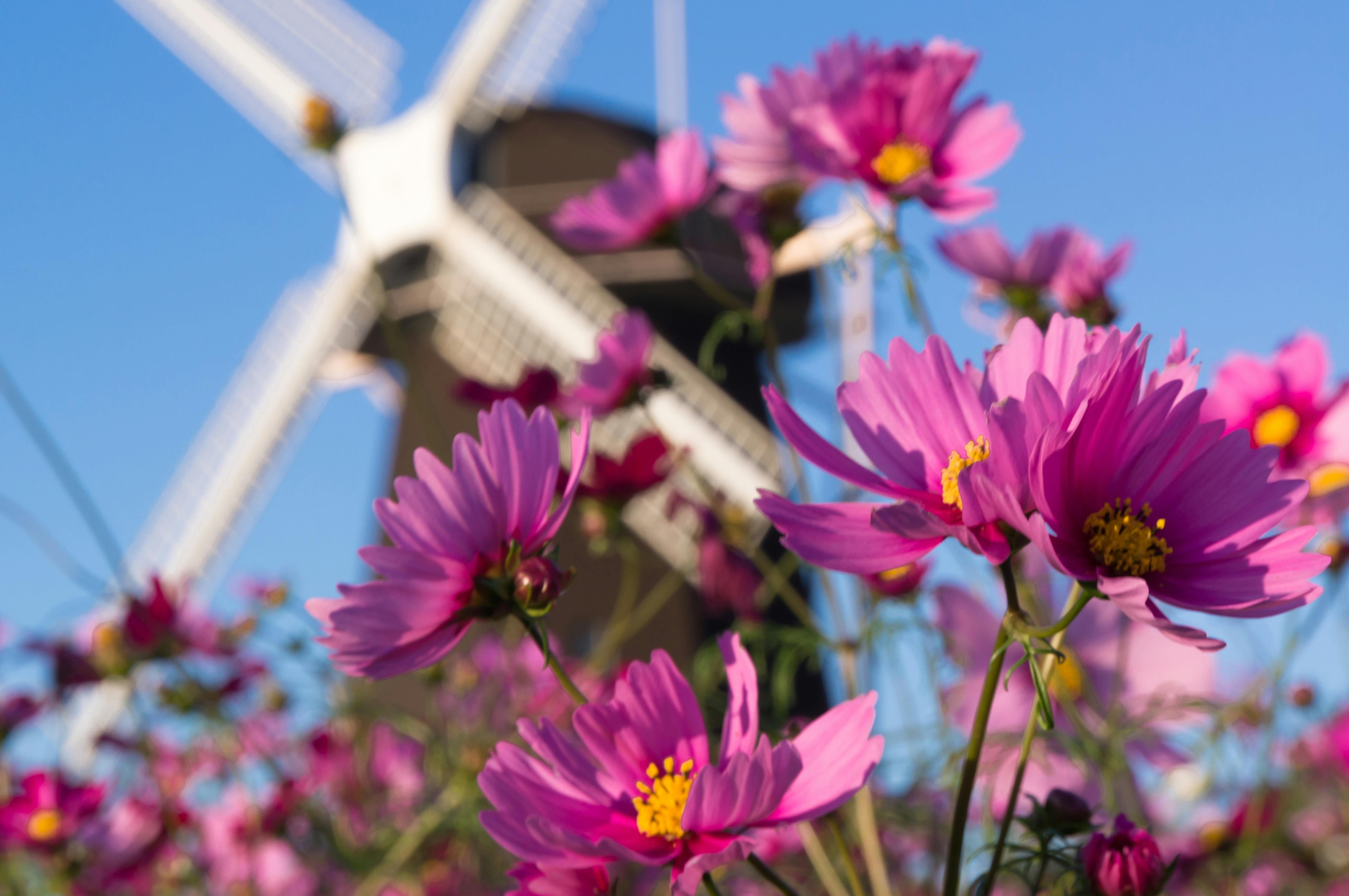 Tsurumi Ryokuchi Park