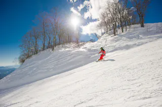 A skier in red descends a snowy slope under a bright sun and clear blue sky, with leafless trees lining the hill in the background.