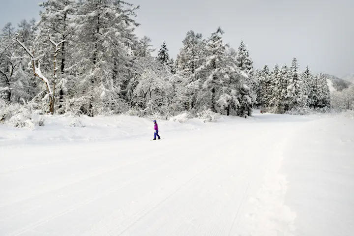Myoko Kogen Ski Area