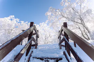 A wooden staircase covered in snow leads up to a snowy path, surrounded by trees coated in white frost under a clear blue sky.