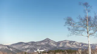 A clear blue sky over a range of snow-dusted mountains, with a leafless tree on the right side of the image and evergreen trees at the base of the mountains.