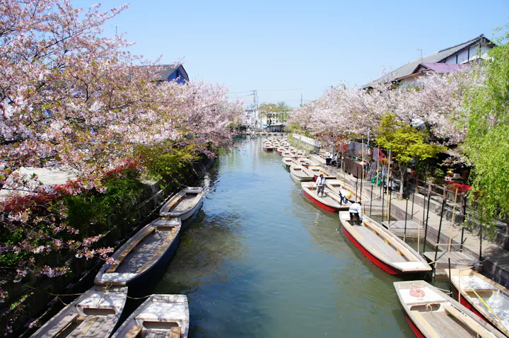 Yanagawa River Boat