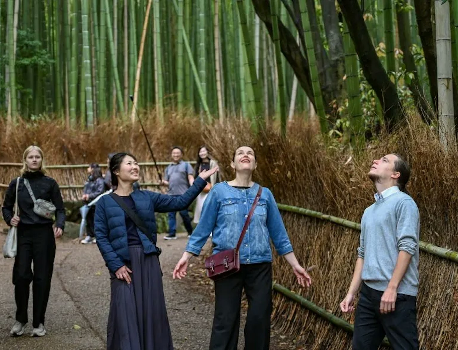 Arashiyama Bamboo Grove Arashiyama Bamboo Grove