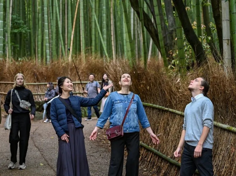 Arashiyama Bamboo Grove Day Trip from Kyoto with a Local
