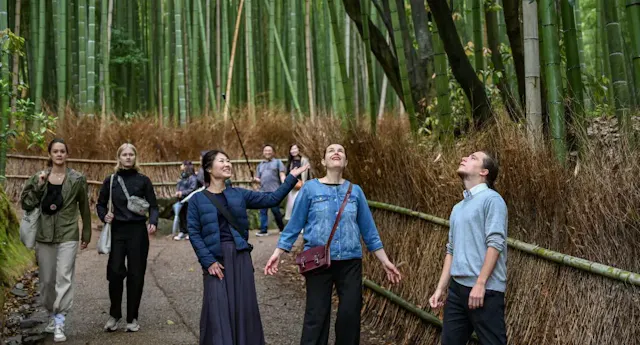 A group of people walks along a path through a dense bamboo forest, some looking up in awe at the tall bamboo stalks surrounding them. The atmosphere appears peaceful and serene.