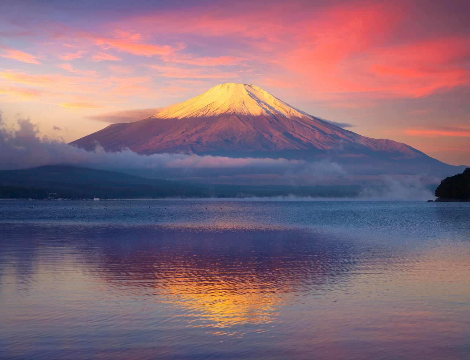 Mt. Fuji Mt. Fuji
