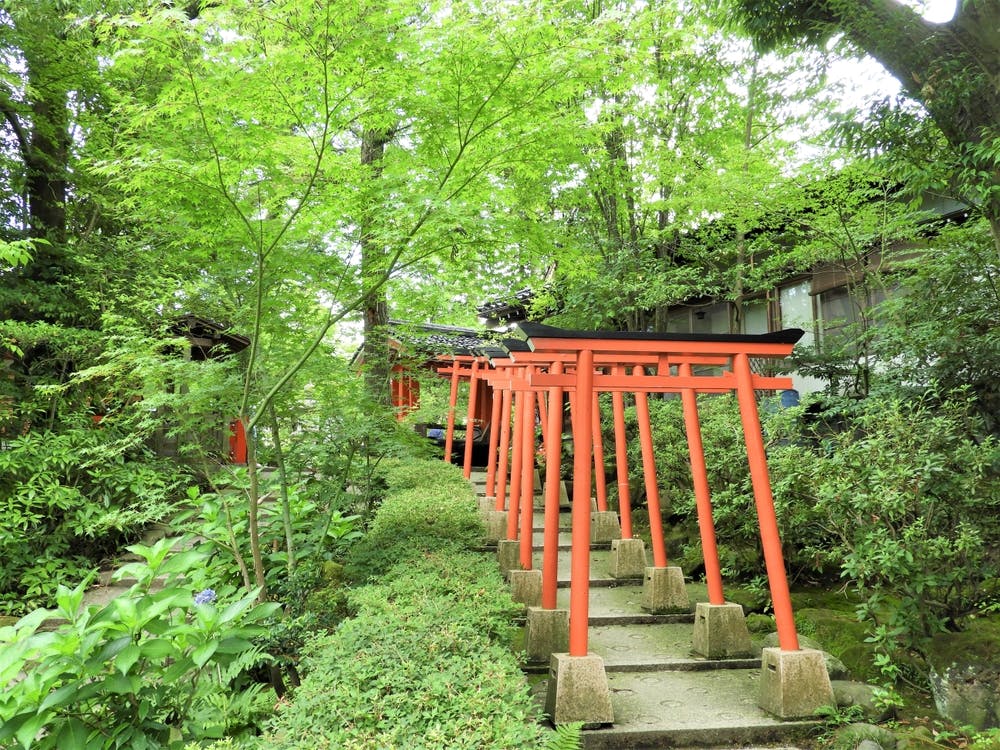 A series of red torii gates line a stone path through lush green foliage in a peaceful Japanese garden, with trees and shrubs surrounding the walkway.