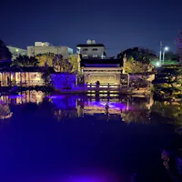Fukushuen Chinese Garden A tranquil garden at night with traditional Asian architecture, illuminated buildings, and vibrant purple reflections on a calm pond, surrounded by trees and city structures in the background.