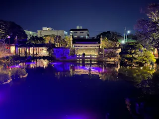 A tranquil garden at night with traditional Asian architecture, illuminated buildings, and vibrant purple reflections on a calm pond, surrounded by trees and city structures in the background.