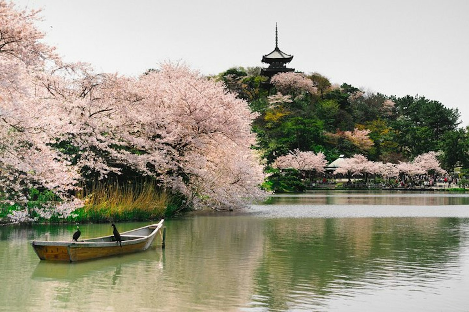 Yokohama Tour