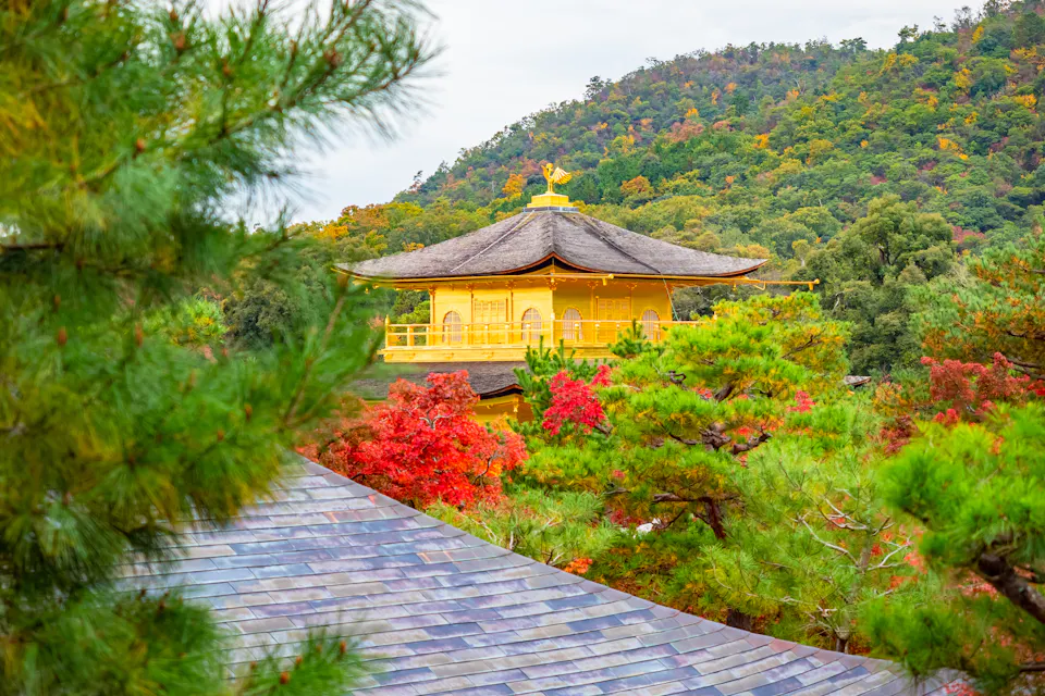 Kinkakuji Temple
