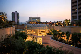 Modern cityscape at sunset with a glass-walled building surrounded by greenery and curved walkways, tall buildings in the background, and warm lights illuminating the scene.