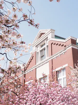 A red-brick building with white trim is framed by blooming cherry blossom trees under a clear blue sky. The flowers are pink and white, adding a vibrant, springtime feel to the scene.