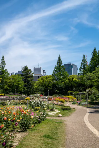 A winding path runs through a blooming flower garden, with vibrant flowers and green trees. In the background, modern buildings rise against a blue sky with wispy clouds.