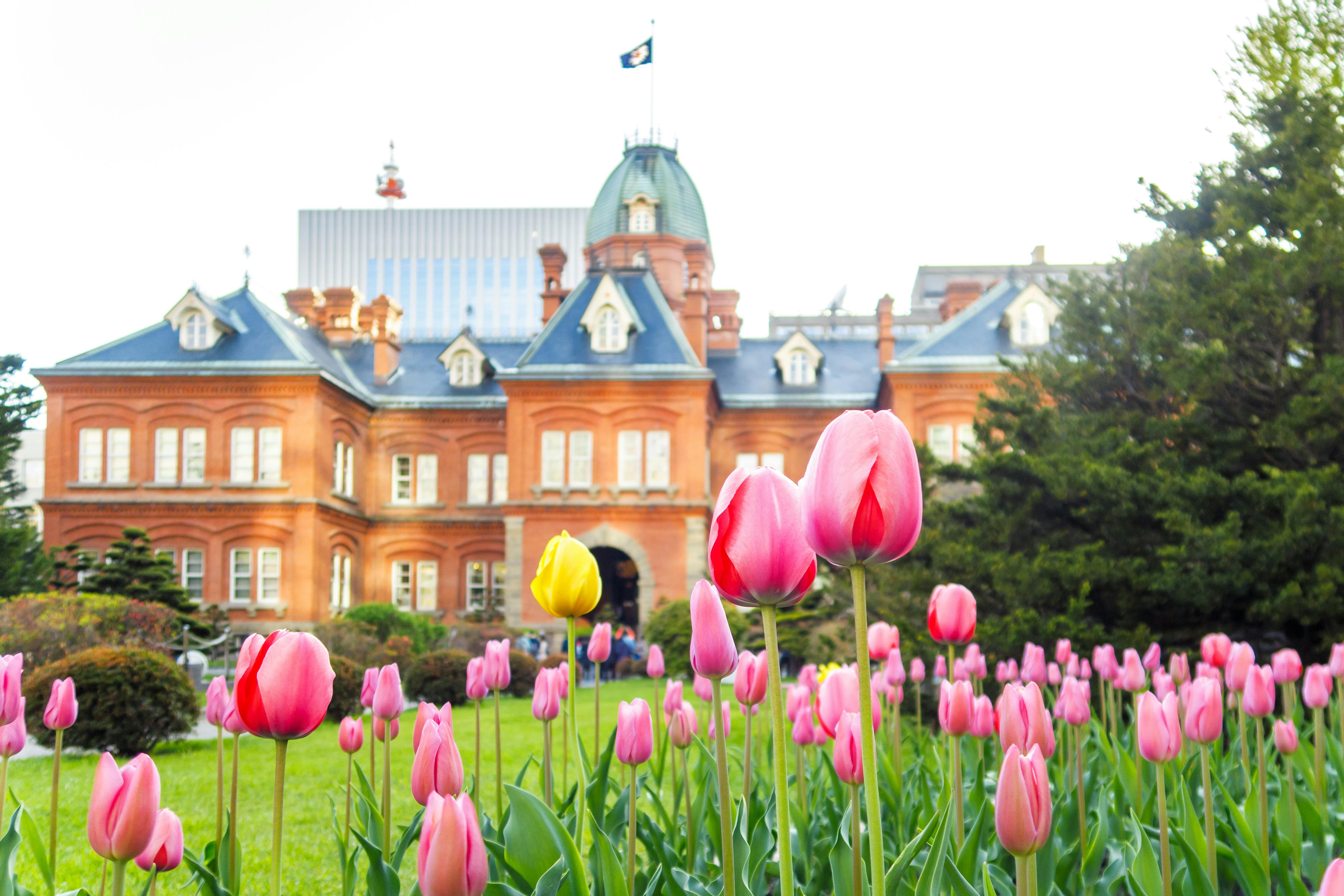 A historic red-brick building with a dome roof stands behind a vibrant garden filled with blooming pink and yellow tulips on a sunny day.